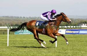 minding-010517pml0699