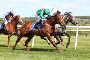 11 May 2019; TARNAWA, Chris Hayes up, nearside, proves to be just superior to Who's Steph, Colin Keane up, in The Irish National Stud Racing Irish European Breeders Fund Blue Wind Stakes at Naas.© Peter Mooney, 59 Upper George's Street, Dun Laoghaire, Co. Dublin, Ireland.    Tel:  00 353 (0)86 2589298