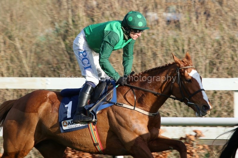 Concertista-291220PML0891