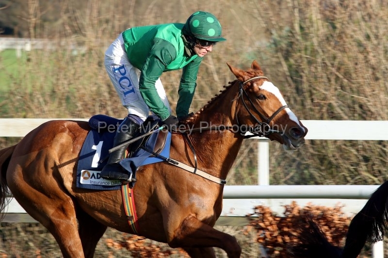 Concertista-291220PML0890