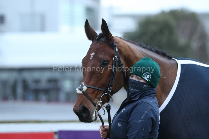 Hollow-Games-291220PML1057