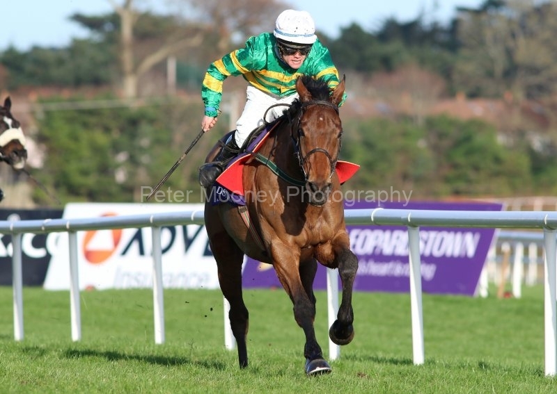 Midnight-Maestro-291220PML0775