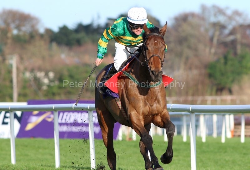 Midnight-Maestro-291220PML0779