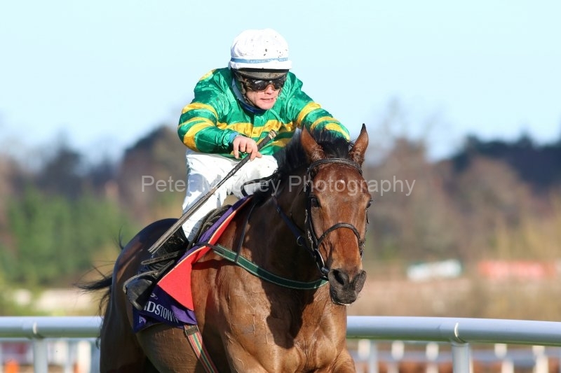 Midnight-Maestro-291220PML0788