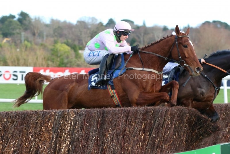 Monkfish-291220PML0929