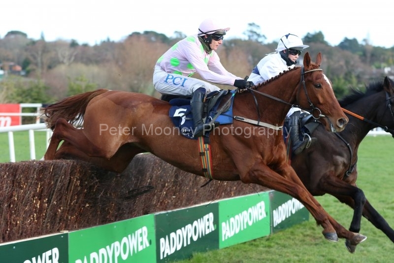 Monkfish-291220PML0931