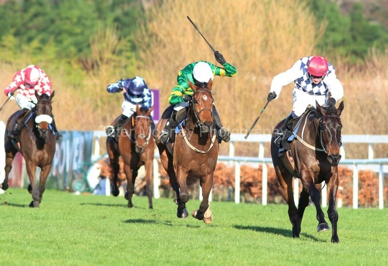 Stattler-291220PML0842