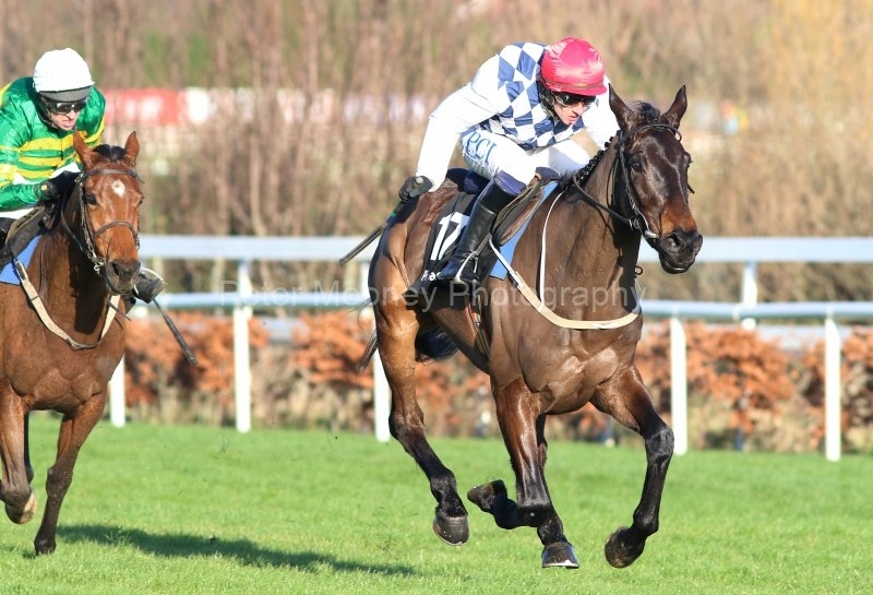 Stattler-291220PML0859