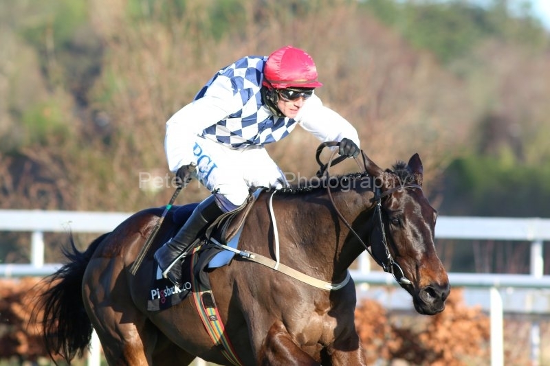 Stattler-291220PML0872