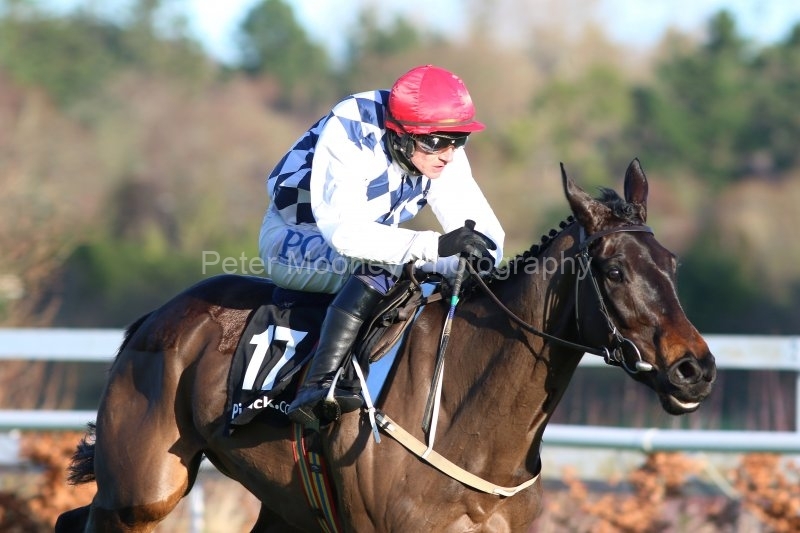 Stattler-291220PML0874