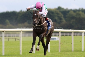 Straight-Answer-200921PML0609