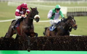 Roi Du Mee PML 00144439