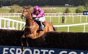 Big Zeb-PML 00152496