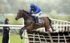 Hurricane Fly-PML 00153748