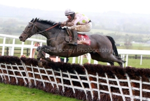 Marasonnien-PML 00184939