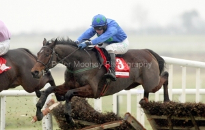 Hurricane Fly PMLOO140483