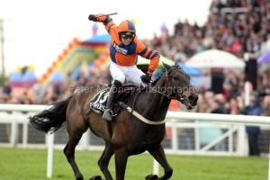 Niche Market PML 0088310.JPG