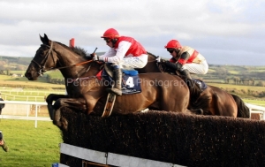 Joncol PML 00106580.JPG