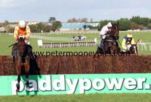 twinlight-pml-00141974