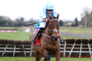 Honeysuckle 281121PML0596.jpg