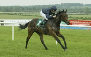 Damson PMOO35343.jpg