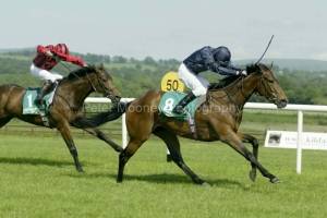 Rumplestiltskin PML000321870.jpg