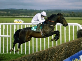 Nickname PML0031016.jpg