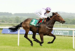 Cuis Ghaire PML 0070192.JPG