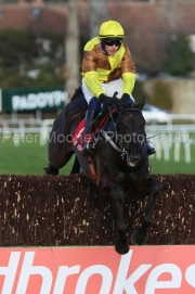 Galopin Des Champs 060222PML0705.jpg