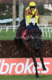 Galopin Des Champs 060222PML0706.jpg