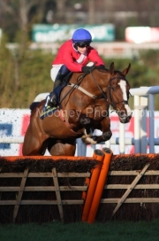 Sir Gerhard 060222PML0844.jpg