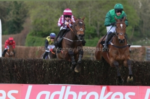 Blue Lord 280422PML0963.jpg