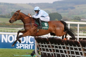 Honeysuckle 290422PML1146.jpg