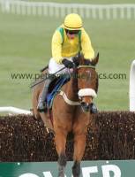 miley-shah-160214pml0385