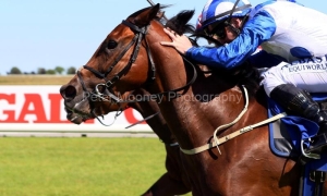 Marbling 100722PML0694.jpg