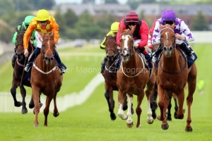 Lady Hollywood 200722PML0518.jpg