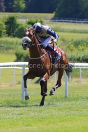 Knight To Kingb 050623PML0608.jpg