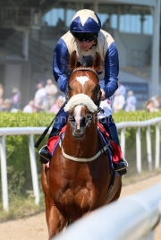 Knight To Kingb 050623PML0643.jpg