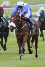 Dagoda 230923PML0495.jpg