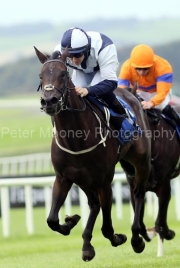 Pipsy 230923PML0466.jpg