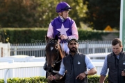 King Cuan 151023PML0370.jpg