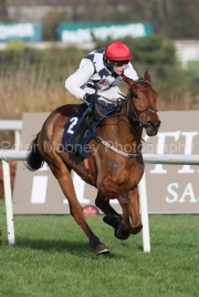 Ballyburn 040224PML0887.jpg