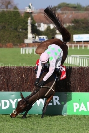 Fall 040224PML0850.jpg