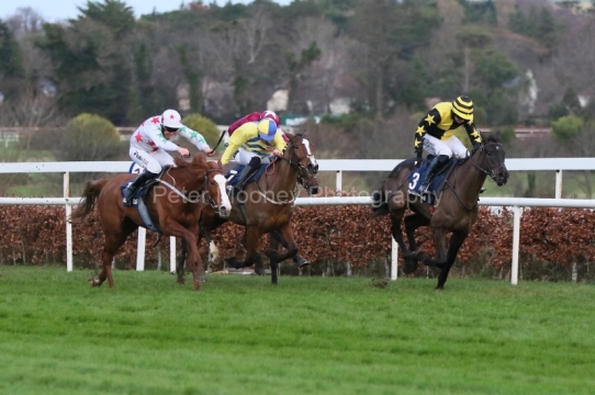 Carrigmoornaspruce 291224PML1146.jpg
