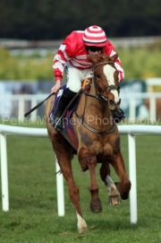 Barnahash Primrose 030325PML1551.jpg