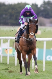 Hurricane Ivor 230325PML0842.jpg