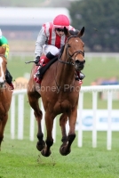 Sunchart 230325PML0930.jpg