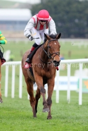 Sunchart 230325PML0932.jpg