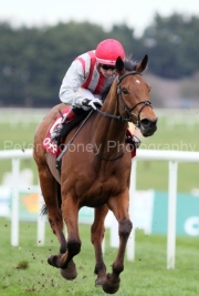 Sunchart 230325PML0936.jpg