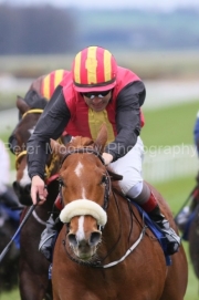 Pickersgill 290325PML1084.jpg